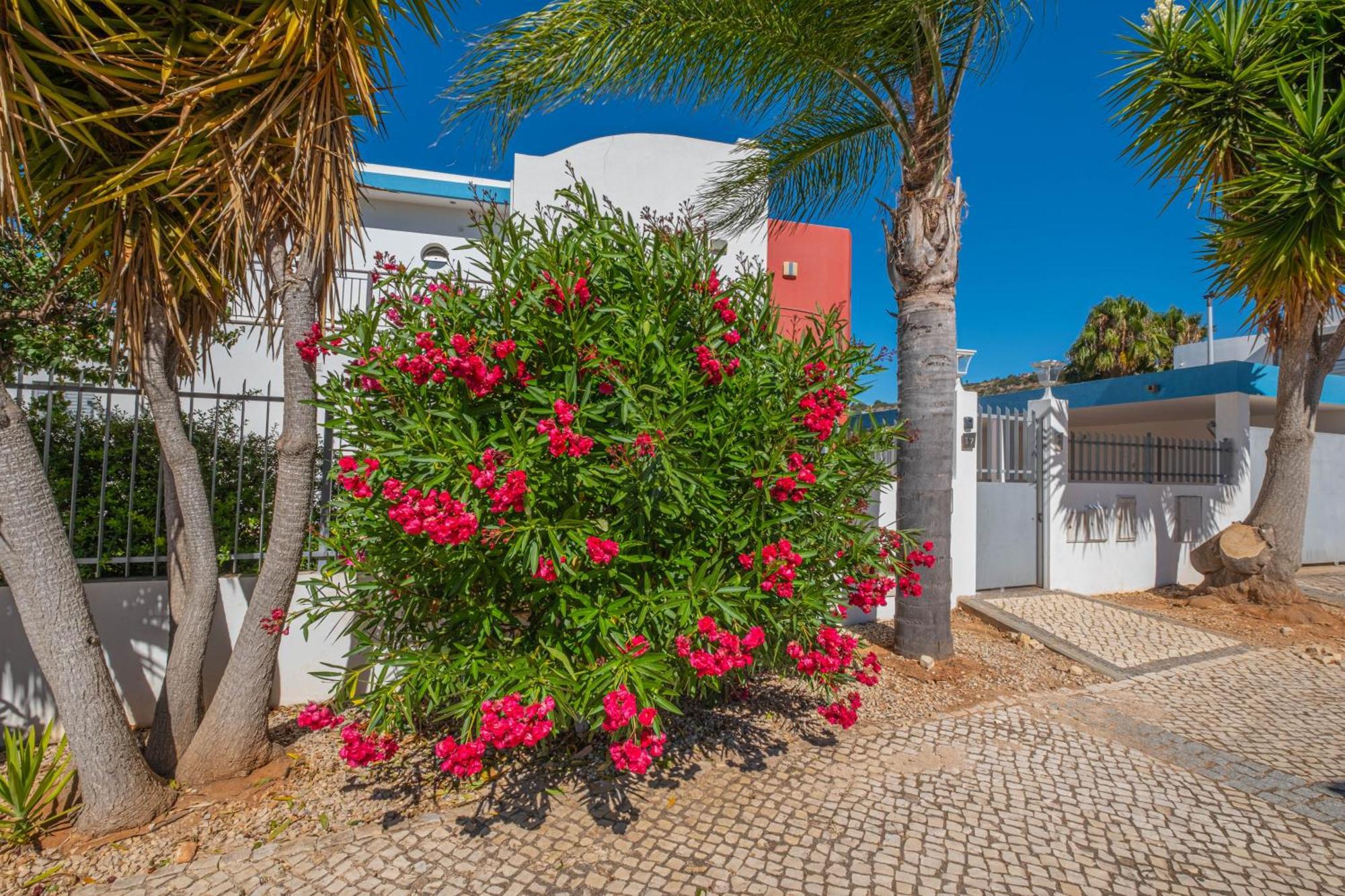 Capetown Marina Luxury Villa - Private Pool Albufeira Kültér fotó